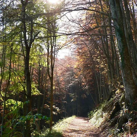 Le Pietre Ricce Apartament