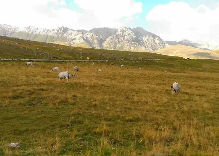 Le Pietre Ricce דירה Roccamontepiano