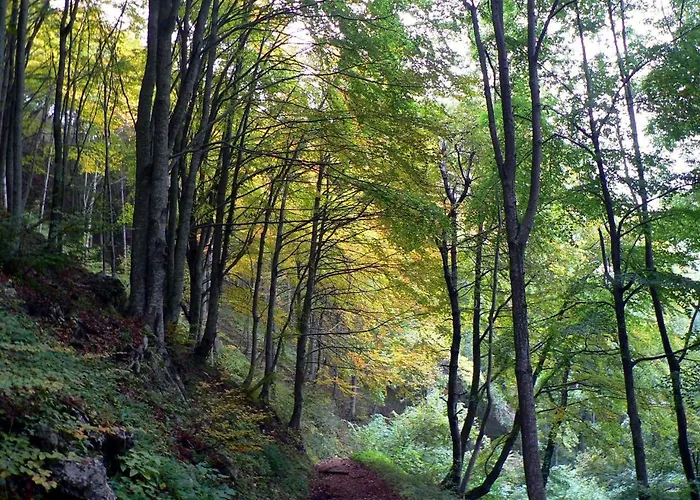 דירה Le Pietre Ricce