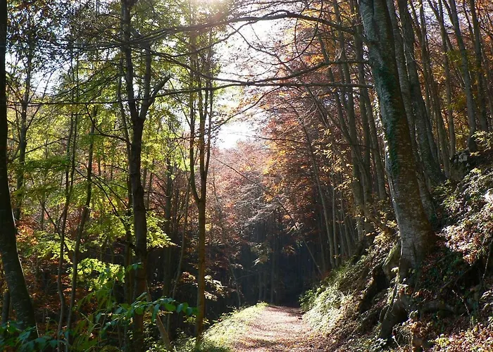 Le Pietre Ricce דירה